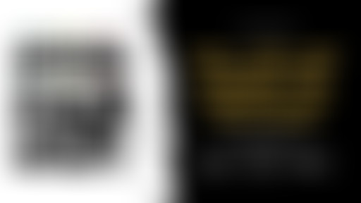 Safe Travel #24 - Bass Paradize