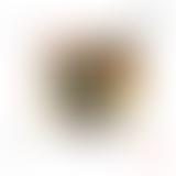 HISTOIRES DE reçoit DIRTSA