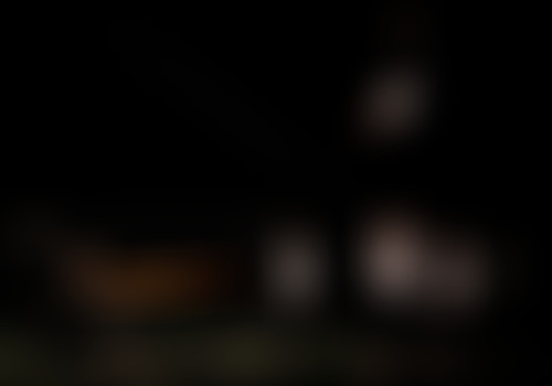 Pièces détachées : Alice Barraud et Basile Forest,...