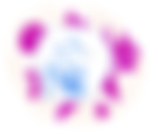 Mercredi ! Six Saucisses m’étaient contées