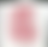 Yummy // Weirdos & Canada