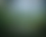 La Relève S6 E6 : Exploration et photographie// Ro...