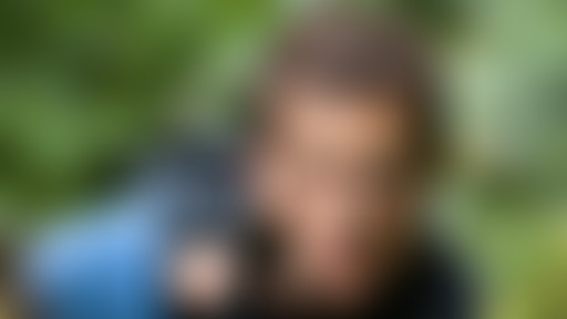 Chablis Hebdo // Les survivants