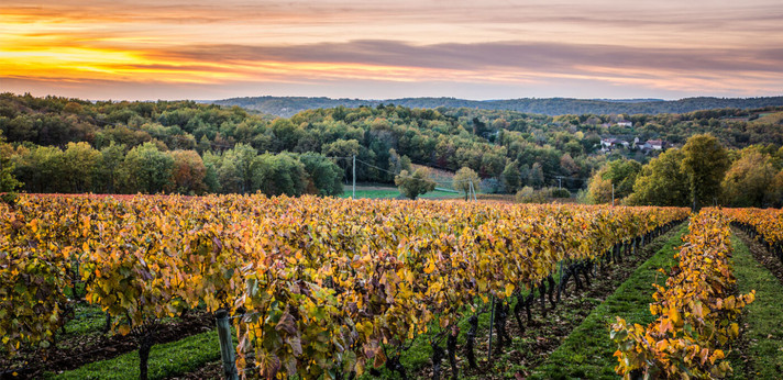 Épisode LCSLT : Cahors, le cador des vignobles du sud-oues... de l'émission Les coudes sur la table