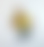 STUDIO ARTICHO - 09 -  PUB ET BD