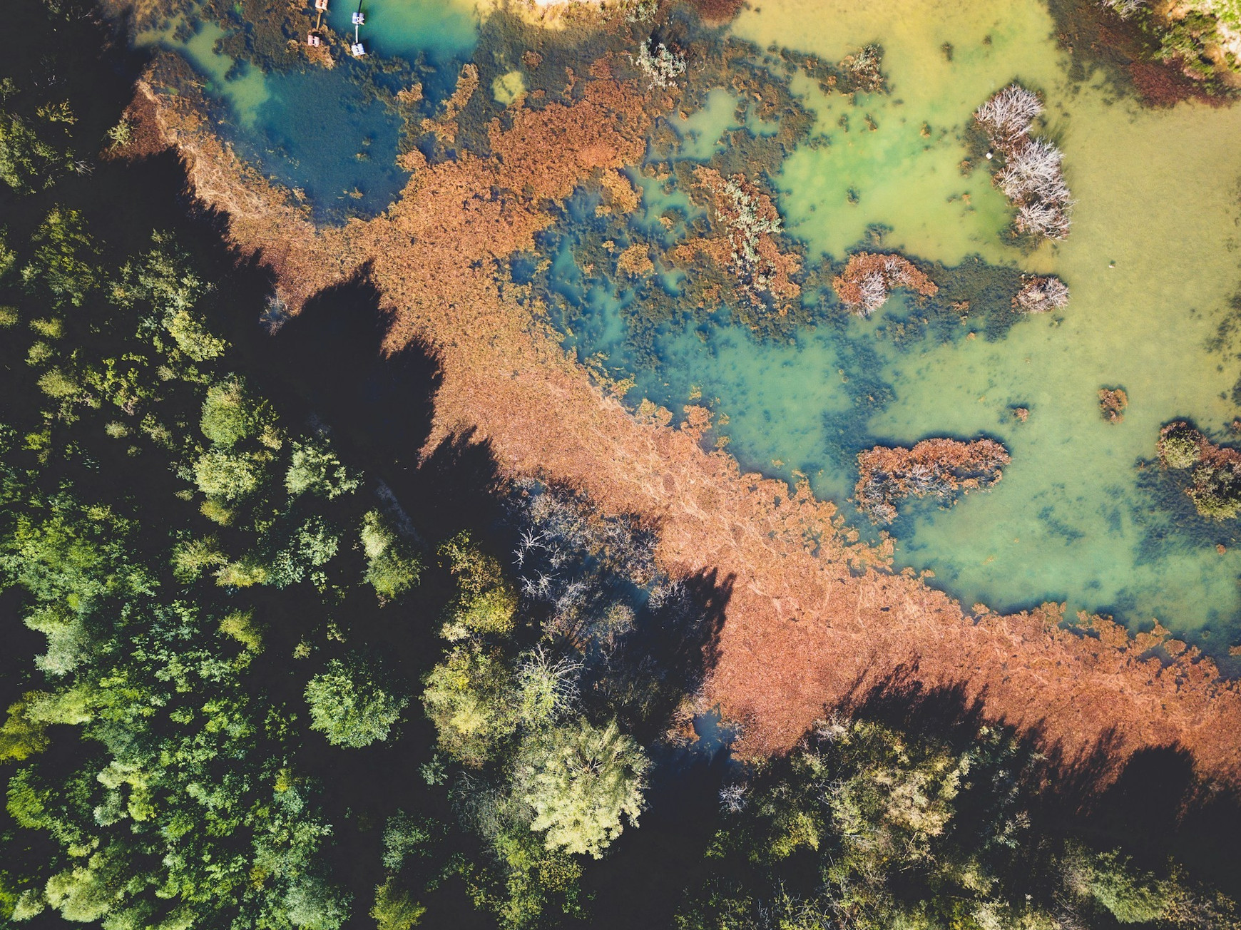 Photo de Ivan Bandura sur Unsplash Interdépendances entre écosystèmes : les méta-écosystèmes