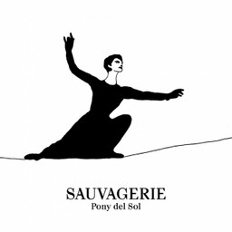Pony del Sol - Ville Magnifique