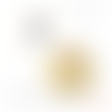 MUSIQUES HYBRIDES : LA SOCA