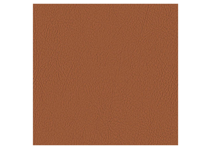 Ted Terracotta
