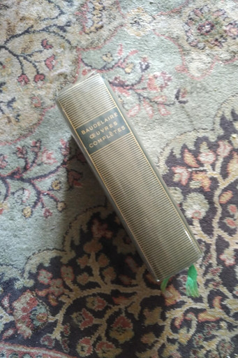 Épisode Loulou lit Charles Baudelaire #5 de l'émission Loulou lit des Histoires