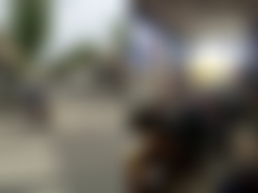 L'oeil à l'écoute : Des barricades aux goélands