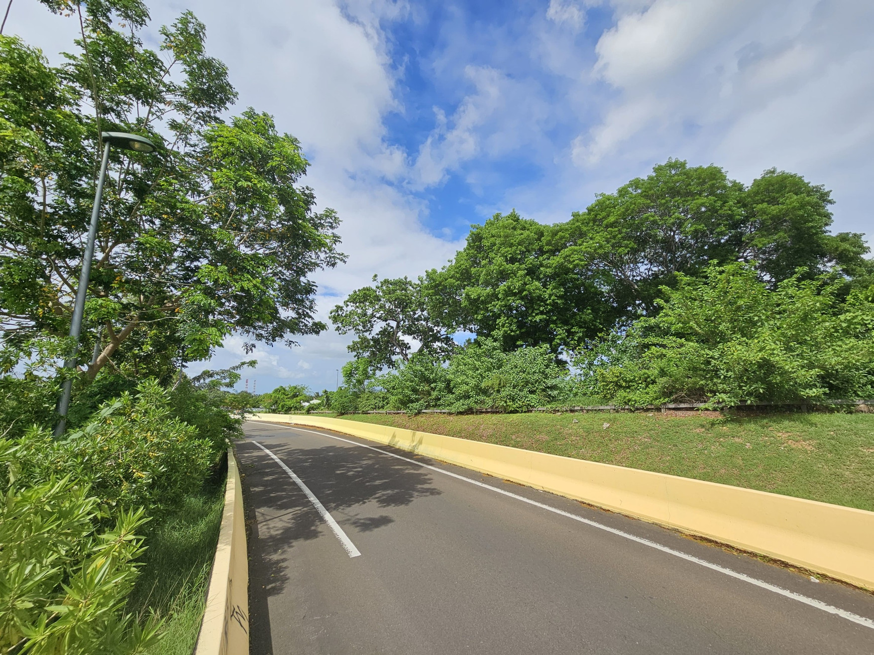 © Région Guadeloupe Guadeloupe : une “trame verte routière” pour préserver la biodiversité locale