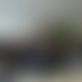 Mercredi ! Les préjugés et les discriminations