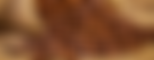 Le Cogito de René Descartes