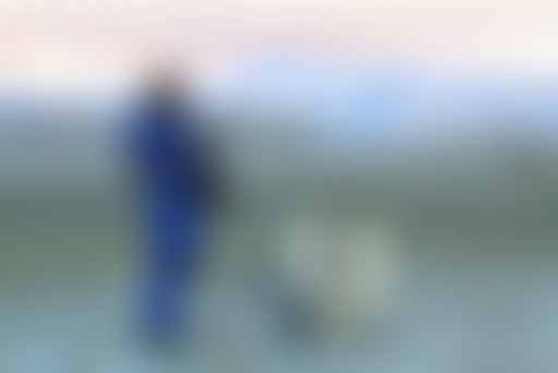 InSitu#4- Sur les deux pôles