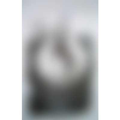 37°2 / Sophie, créatrice de métamorphoses sociales episode artwork