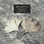 Martin Nonstatic • Samsara