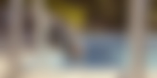 Extérieur Nuit : TERRASSES, CINÉMAS ET MOUCHE GÉAN...