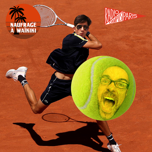 Épisode Naufrage à Waikiki s03e12 de l'émission Naufrage à Waikiki