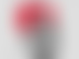 Les aiguilleuses de la création