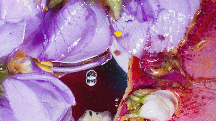 Épisode Novorama de l'émission Novorama