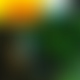 Amplitudes : Sélection Extérieure #1 - Mauvaise Fo...