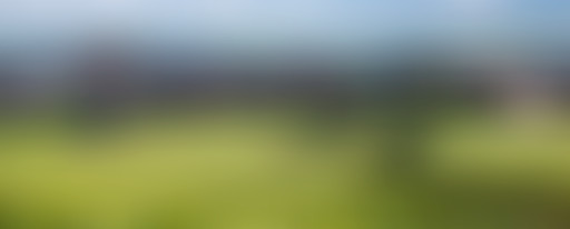 LCSLT : La Bourgogne, hors des sentiers battus