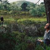 Amplitudes : Field recording