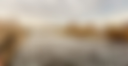 Mappemonde : Minneapolis