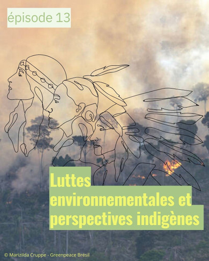 Luttes environnementales et perspectives indigènes