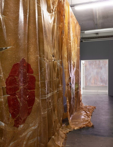 Épisode En Pleines Formes 12/05/2019 : Thu Van Tran et Cla... de l'émission En Pleines Formes