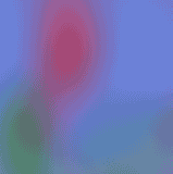 Mercredi ! Les animaux marins