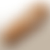 Chablis Hebdo ma mère Thérèse Touillard a toujours...