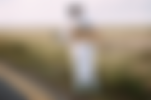 #10 La nature peut-elle reprendre ses droits ?