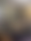 Les émissions du Lycée Fragonard - Episode 2