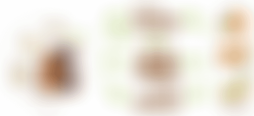 Prenez-en de la graine - Graine n°1 : AlterService...