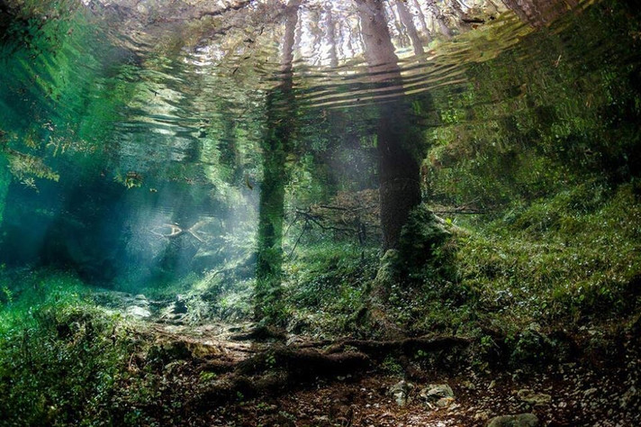 Épisode Les lectures de la Bouquinerie de l'émission La Nouvelle Bouquinerie