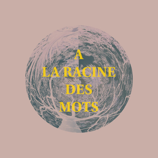 Épisode Episode 10 :  Energie et Ecologie de l'émission À La Racine Des Mots