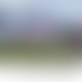 La demi-heure // Les retraites II // Nicolas Da Si...