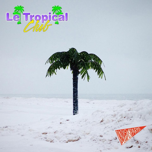 Épisode Tropical Club Plage #36 de l'émission Naufrage à Waikiki