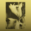 Flying Lotus • Shifty