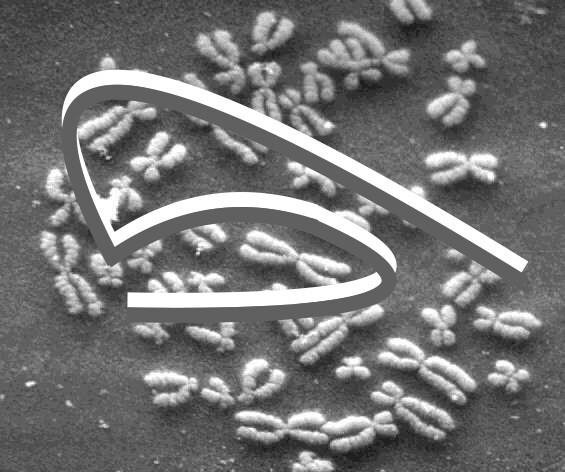 Épisode Johnkôôl Records : Salopecia Mixtape de l'émission Johnkôôl Records