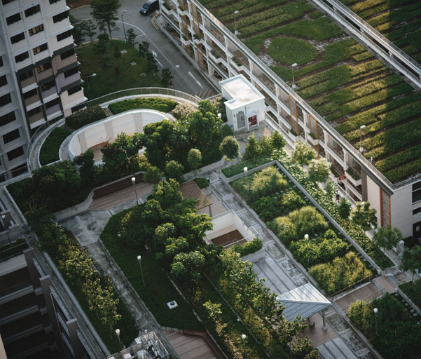 Épisode La relève + de jardin dans les villes avec H. Meun... de l'émission La Relève