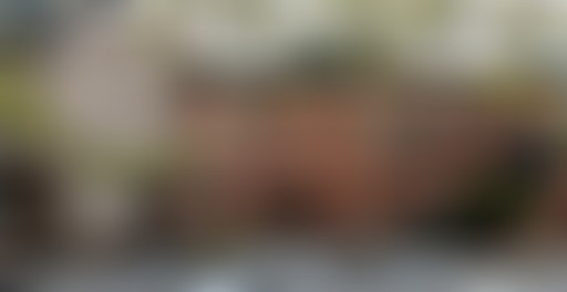 Mappemonde : Brooklyn, années 2000