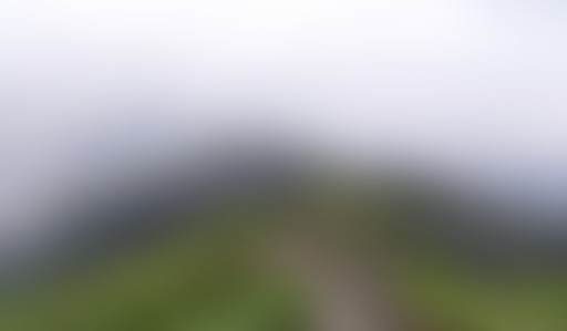 Mappemonde : Roumanie