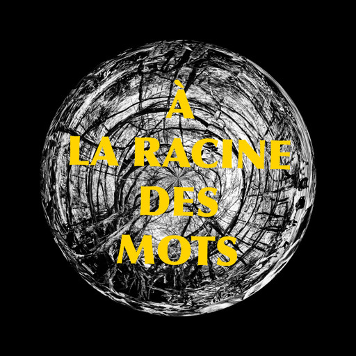 Épisode Episode 1 : Cerveau et Ecologie de l'émission À La Racine Des Mots