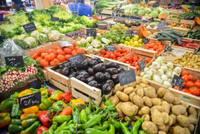 Développer des green skills dans le secteur alimentaire