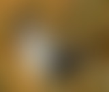 LVDC : Plongée dans les Catacombes de Paris