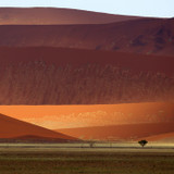 Amplimondes : Déserts