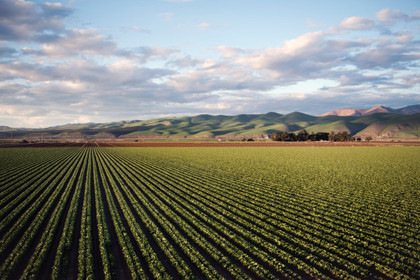 AGRICULTURE : CONTRE L’URBANISATION DES TERRES FERTILES